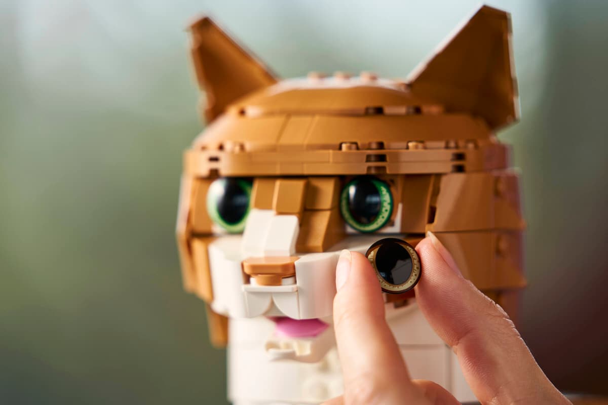 LEGO 21376 Ideas Orange Cat | 1755 PCS