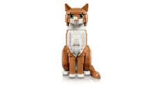 21376 Orange Cat | 1755 PCS