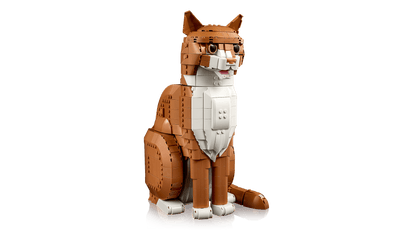 21376 Orange Cat | 1755 PCS