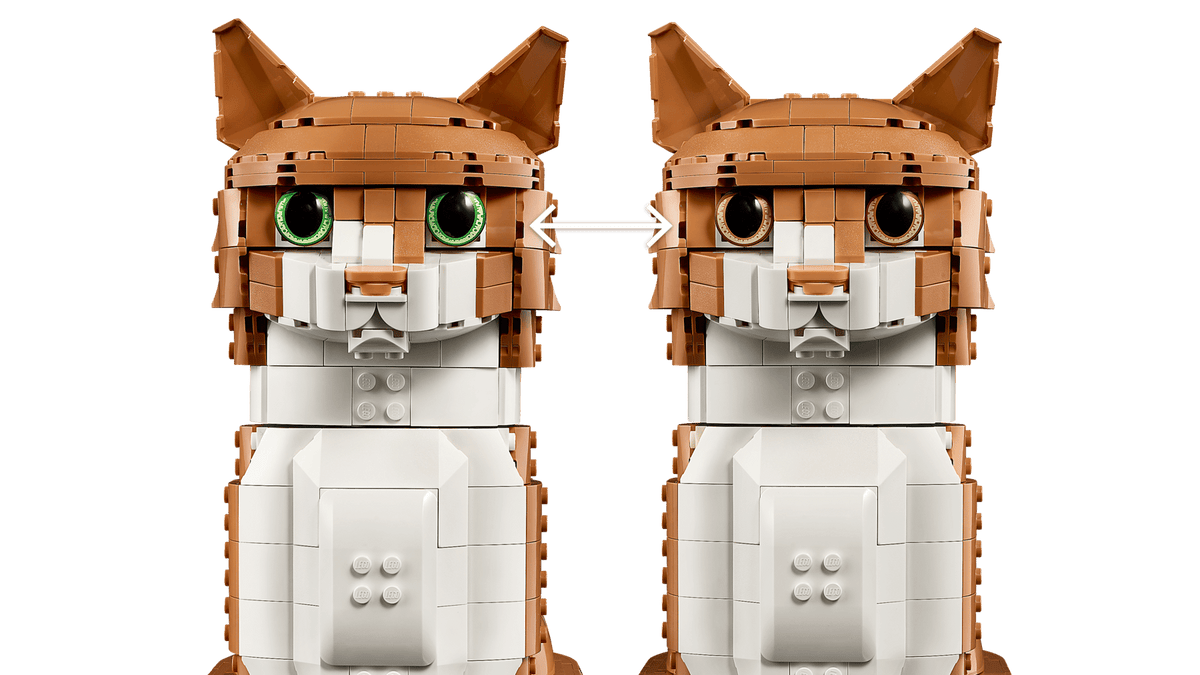 21376 Orange Cat | 1755 PCS