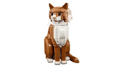21376 Orange Cat | 1755 PCS