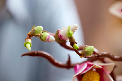 LEGO 11510 Botanicals Magnolia Branches | 435 PCS
