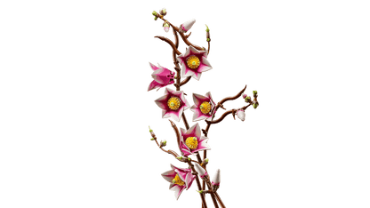 LEGO 11510 Botanicals Magnolia Branches | 435 PCS