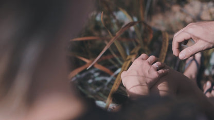 Nifeliz NF10256 ROSEEVER Building Set | 280 PCS